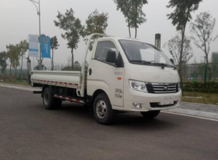 BJ1046V9JB5-K4单排载货汽车燃油公告图片2