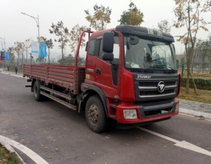 BJ1146VJPEK-1载货汽车燃油公告图片2