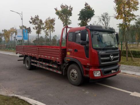BJ1165VJPEK-FA载货汽车燃油公告图片2