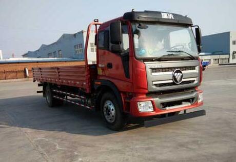 BJ1165VJPEK-FA载货汽车燃油公告扩展图片1
