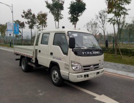 BJ1046V9AB5-F3载货汽车燃油公告图片2