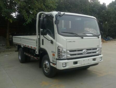 BJ1083VEJEA-GP载货汽车燃油公告图片2