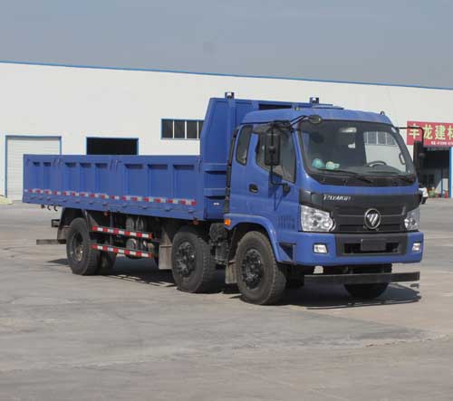 BJ3243DLPEB-FA自卸汽车燃油公告扩展图片1