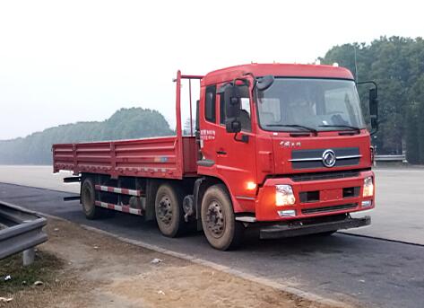 DFH1250BX2V载货汽车燃油公告图片2