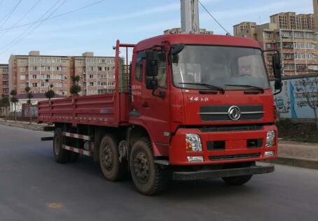 DFH1250BXV载货汽车燃油公告图片2