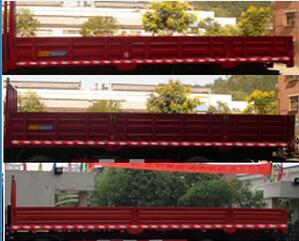 DFH1250BXV载货汽车燃油公告扩展图片2