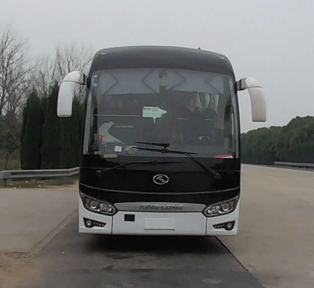 XMQ6125BYD5C1客车燃油公告图片1