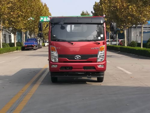 SSF1041HDJ75载货汽车燃油公告图片1