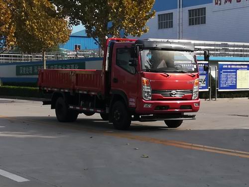 SSF1041HDJ75载货汽车燃油公告图片2