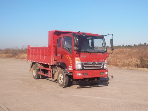 ZZ3048G17EB1自卸汽车燃油公告图片2