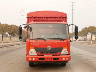DFH5100CCYBX5仓栅式运输车燃油公告图片1