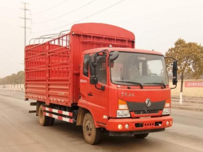 DFH5100CCYBX5仓栅式运输车燃油公告图片2