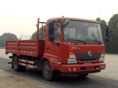 DFH1100BX5载货汽车燃油公告图片2