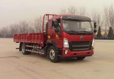 ZZ1167G521DE1载货汽车燃油公告图片2