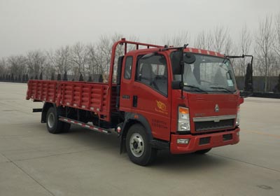 ZZ1107G421CE1载货汽车燃油公告图片2