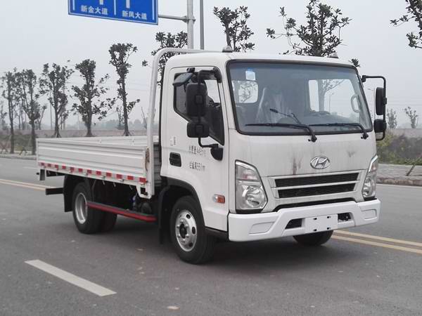 CHM1043GDC33V载货汽车燃油公告图片2