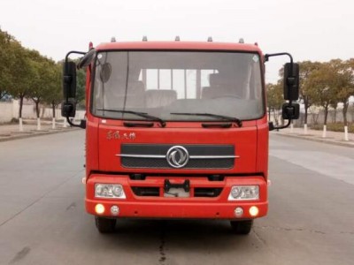 DFH1120BXV载货汽车燃油公告图片1