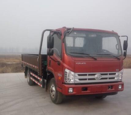 BJ1043V9JEA-GM载货汽车燃油公告图片2