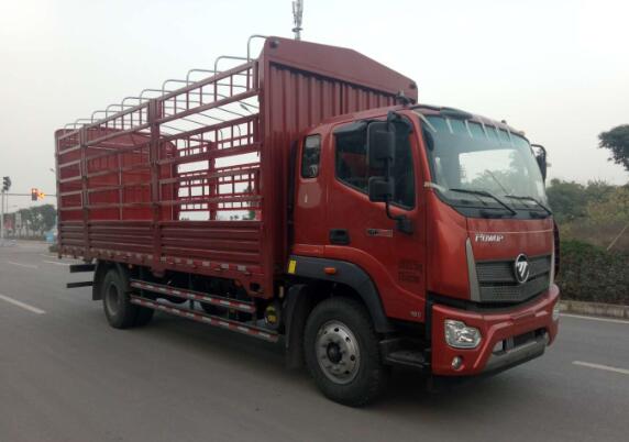 BJ5165CCY-FC仓栅式运输车燃油公告图片2