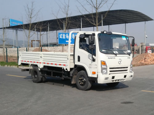 CGC1047HDE33E载货汽车燃油公告图片2