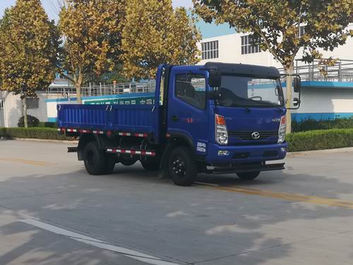 SSF3041DDJ75自卸汽车燃油公告图片2