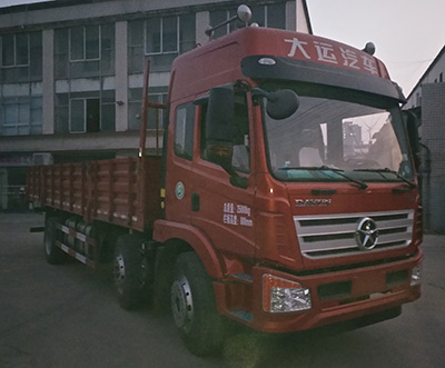 DYQ1250D5CB载货汽车燃油公告图片2