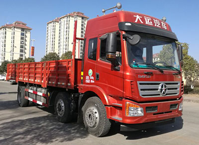 DYQ1250D5CB载货汽车燃油公告图片2