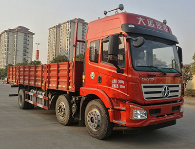 DYQ1251D5CB载货汽车燃油公告图片2