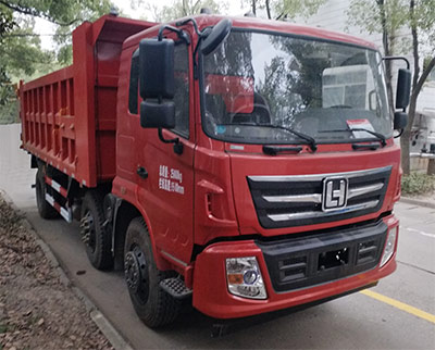 LH3250P自卸汽车燃油公告图片2