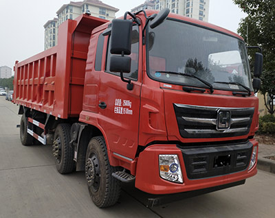 LH3250P自卸汽车燃油公告图片2