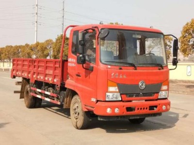 DFH1100BX5载货汽车燃油公告图片2