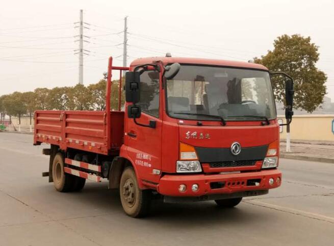 DFH1100BX5载货汽车燃油公告图片2