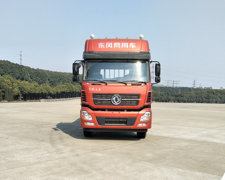DFH1310A1载货汽车燃油公告图片1