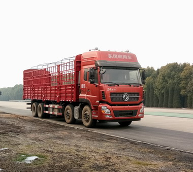 DFH5310CCYA1仓栅式运输车燃油公告图片2
