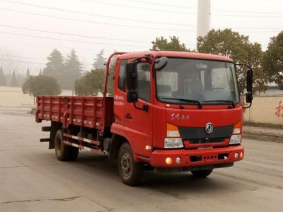 DFH1100BX5载货汽车燃油公告图片2