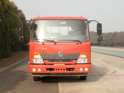 DFH1100BX5载货汽车燃油公告图片1