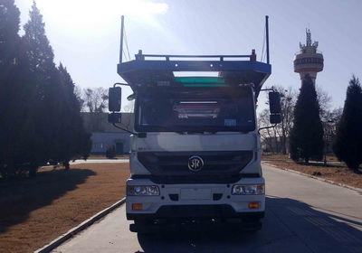 ZZ5181TCLN681GE1车辆运输车(牵引货车)燃油公告图片1