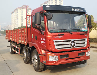 DYQ1251D5CB载货汽车燃油公告图片2