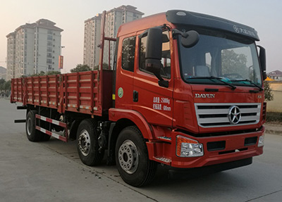 DYQ1251D5CB载货汽车燃油公告图片2