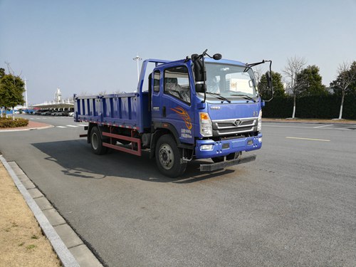 ZZ3168E17EB2自卸汽车燃油公告图片2