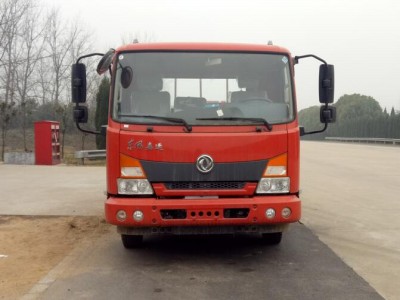 DFH1100BX5载货汽车燃油公告图片1