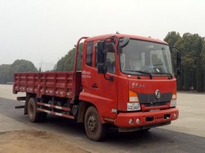 DFH1100BX5载货汽车燃油公告图片2