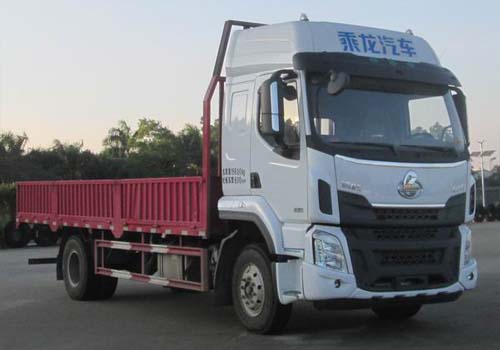 LZ1166M3AB载货汽车燃油公告图片2
