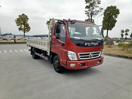 BJ1049V8JDA-A1载货汽车燃油公告图片2