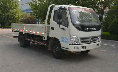 BJ1049V8JDA-A1载货汽车燃油公告扩展图片1