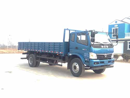 FD1181P63K5-3载货汽车燃油公告图片2