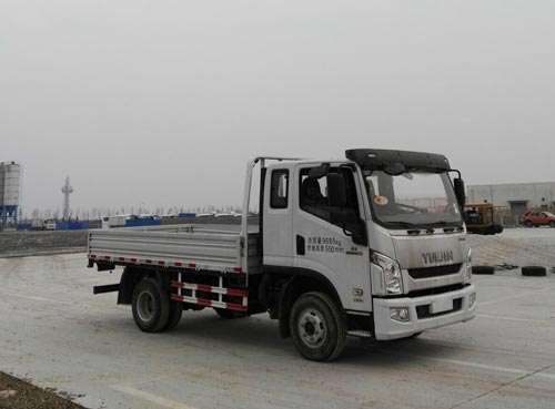 SH1102ZHDCWZ2载货汽车燃油公告图片2