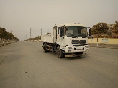 DFH3120BX8自卸汽车燃油公告图片2