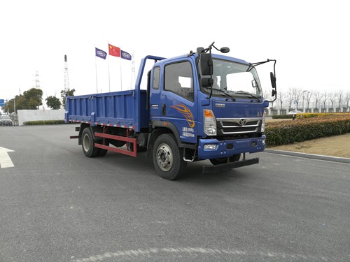 ZZ3168E17EB2自卸汽车燃油公告图片2