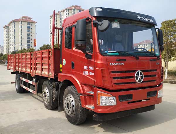 DYQ1252D5CB载货汽车燃油公告图片2